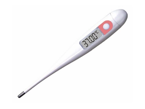 Waterproof Digital Thermometer