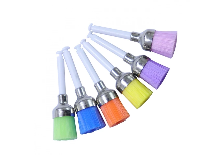 Colorful Prophy Brush Cup Type Plastic